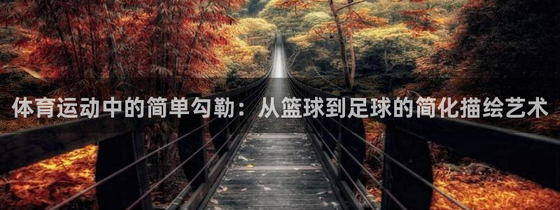 01体育app官网下载安卓：体育运动中的简单勾勒：从篮球到足球的简化描绘艺术