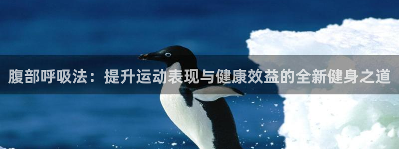 01体育赛事：腹部呼吸法：提升运动表现与健康效益的全新健身之道