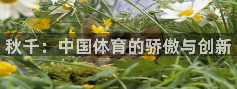 01体育App下载：秋千：中国体育的骄傲与创新