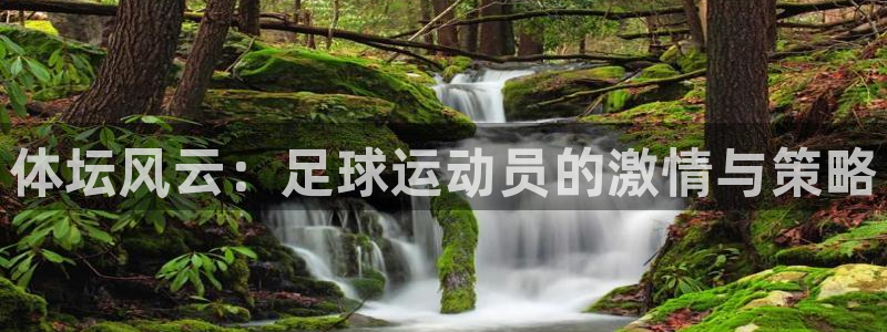 01体育官方APP：体坛风云：足球运动员的激情与策略