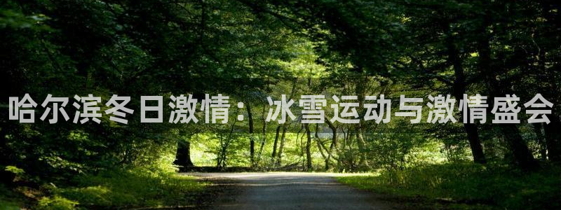01体育直播：哈尔滨冬日激情：冰雪运动与激情盛会