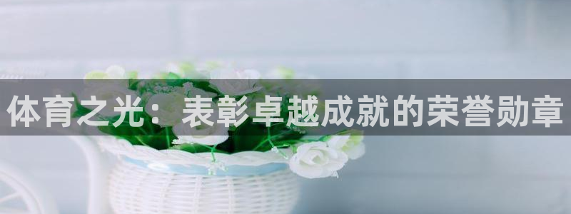 01体育赛事：体育之光：表彰卓越成就的荣誉勋章